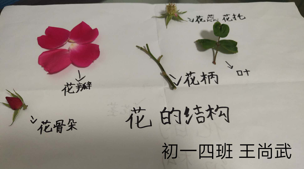 图片 27.jpg