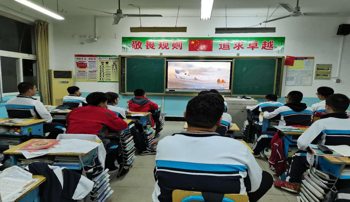 20201015537901.png 图片2.png