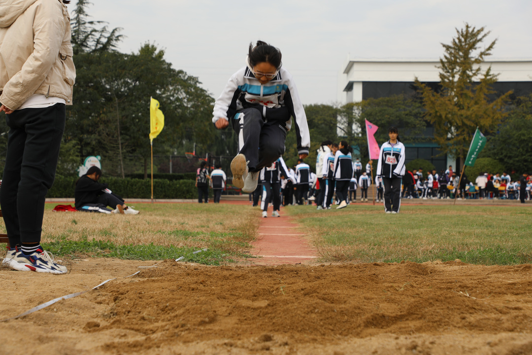 0P6A8582.JPG