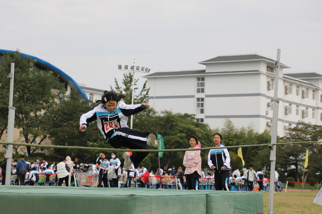 0P6A8584.JPG