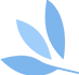 组3拷贝3.png