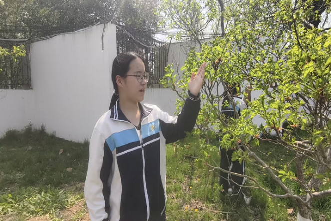 图片8.png