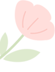 组 4 拷贝 3.png